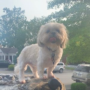 Meet your Posher, Nicole